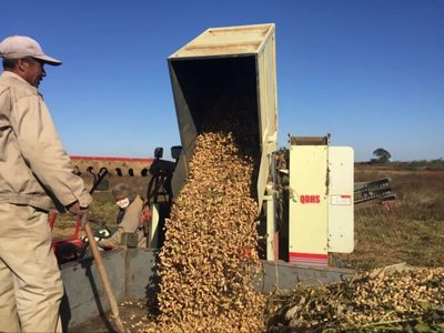 新型農業經營者的規?；放c有機肥補貼政策分析