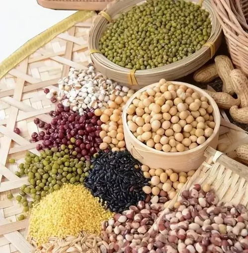 轉(zhuǎn)基因作物 在食品安全與產(chǎn)量提升的十字路口